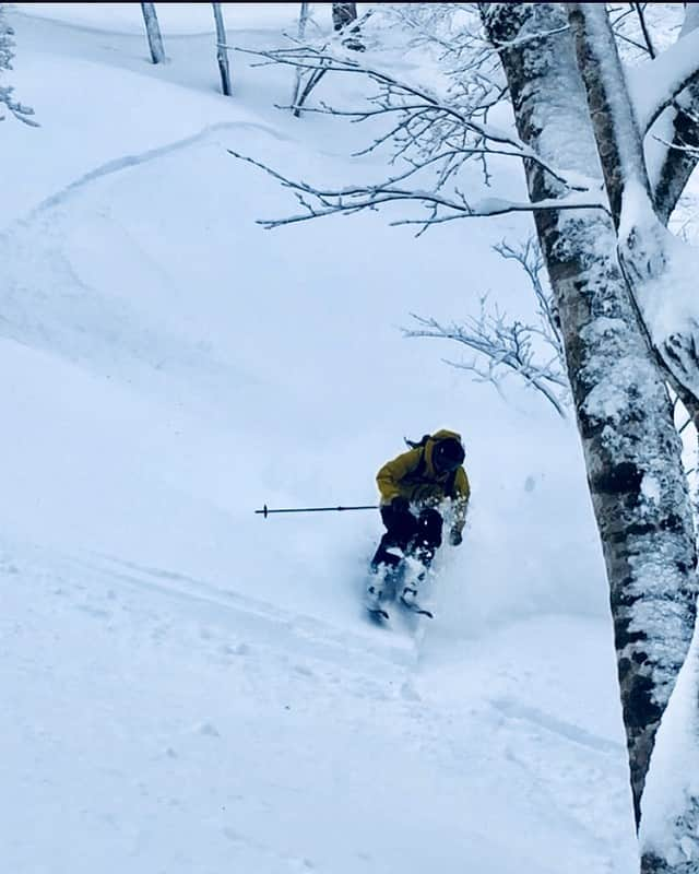 遠藤尚さんのインスタグラム写真 - (遠藤尚Instagram)「今日も暑くなるみたい。 今日は動画からの切り出しを。 #こうゆう瞬間が好き #lifestyle  #SKI  #TOHOKU  #vectorglide #swansgoggles  #hestragloves  #outland1995  #jazzysport」6月5日 7時26分 - shoendo7