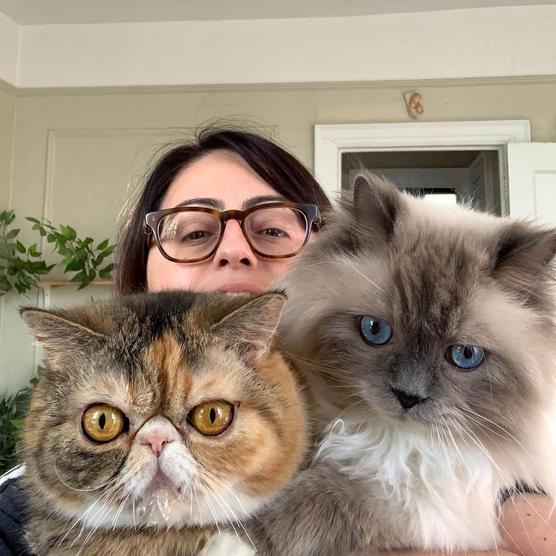 Tinaのインスタグラム：「It might be a struggle but you best believe we are participating in #HugYourCatDay 😂😂😂」
