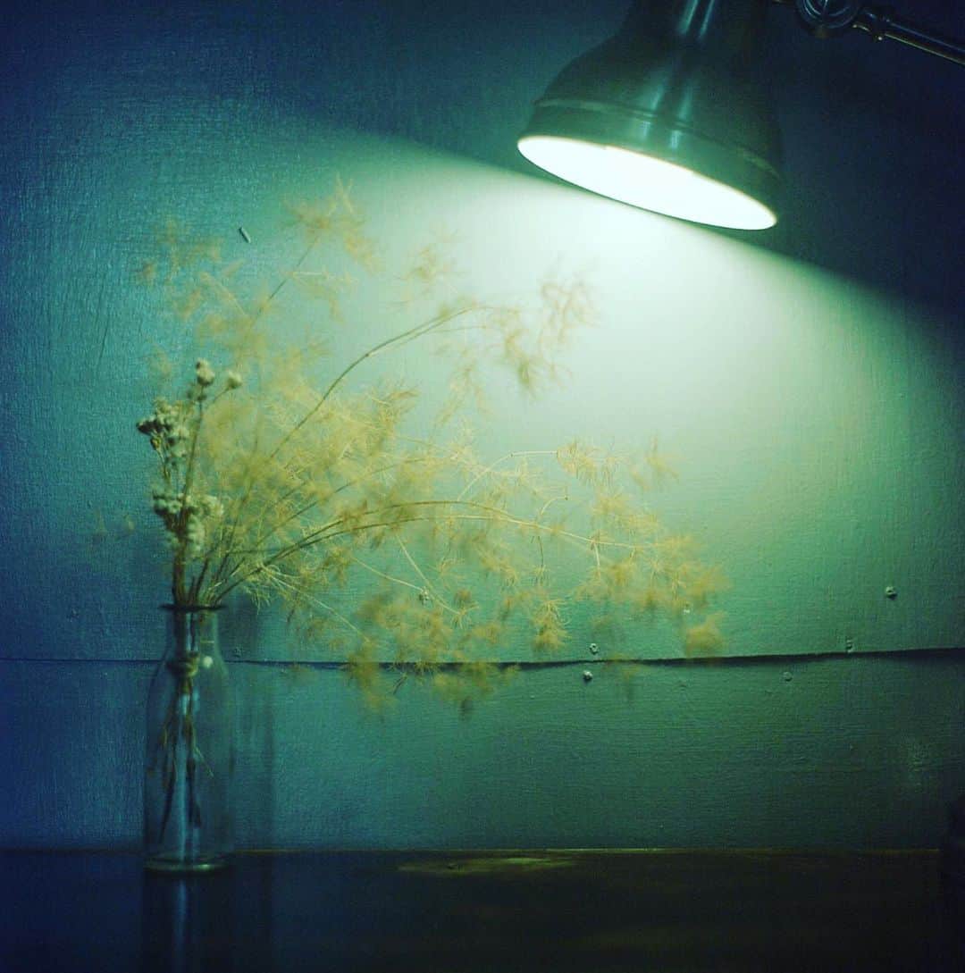 ゆうゆのグルメインスタ