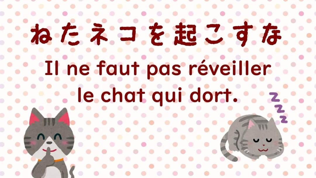 フランス大使館さんのインスタグラム写真 - (フランス大使館Instagram)「【 #今日の言葉 🇫🇷】「物事はそのままにしておいて、昔の争いを蒸し返したり、わざわざ危険に近づいたりしてはいけない」という意味の表現です。日本語の「寝た子を起こすな」に似てますね🐈💤 🇫🇷 #Parlezvousfrancais ? Cette expression française signifie qu’il est imprudent de réveiller une vieille querelle, au risque de s’en mordre les doigts. "Neta ko wo okosuna" est une expression japonaise similaire que l'on peut traduire par « On ne réveille pas un bébé qui dort ».」6月5日 8時00分 - ambafrancejp