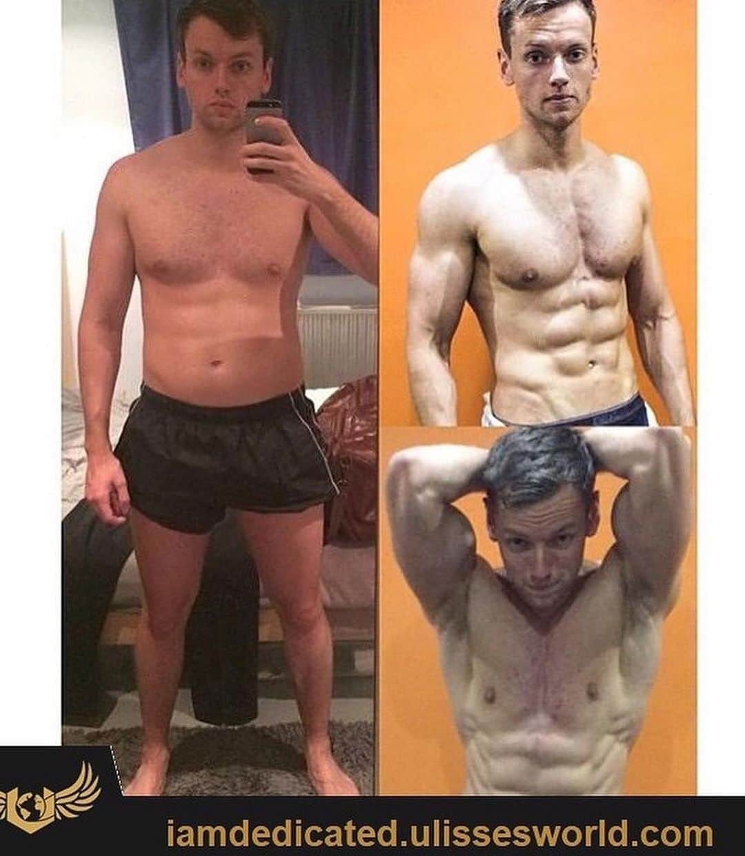 Ulissesworldさんのインスタグラム写真 - (UlissesworldInstagram)「DEDICATION‼️ Steady Progress! Proud of my Clients RESULTS using my Customised Programs & MEAL PLANS! (Link in Bio)👆 @ulissesworld  _ @ali.zaeteri Amazing Transformation and progress using my Customised SHREDDING Program and Meal Plans to build muscle! 😱👏💪Guaranteed RESULTS! Swipe Left to see countless of other clients and supporter! If you want results like these Click the Link in my bio now👆Tailored programs and meal plans for everyone! #letsgo IAMDEDICATED.ULISSESWORLD.COM  _ ✅ Monthly Customised Programs! ✅Monthly Customised Meal Plans! ✅24 Hours Email Support! ✅ Facebook Support Group! ✅ Members Only App ✅ Full Video Library of all Exercises ✅ Home / Gym Workouts ✅ Available Worldwide ✅ Male or Female ✅Cater for all intolerances」6月5日 8時29分 - ulissesworld