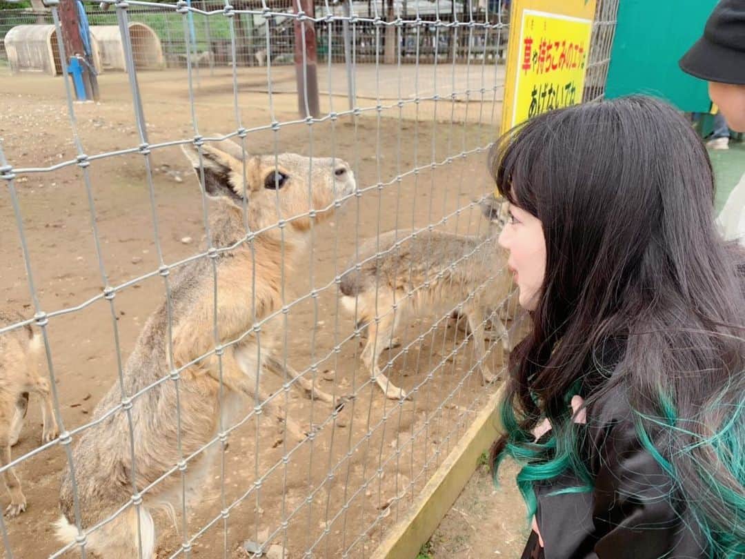 工藤晴香さんのインスタグラム写真 - (工藤晴香Instagram)「VOICEOVER girl's TV 絶賛放送中！先日、ドイツ村にて撮影してきました。  3回目の放送では、素敵な視聴者プレゼントが応募できます〜お楽しみに🇩🇪 https://sp.nicovideo.jp/watch/so35135186?use_default_thread=true」6月5日 8時47分 - kudo_a.k.a_910