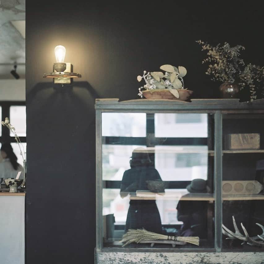 tetrrineのグルメインスタ