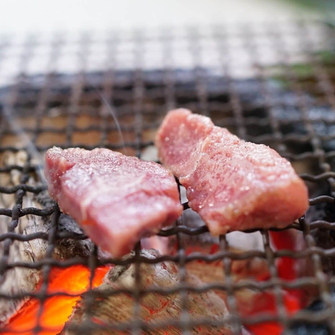 うどんが主食のグルメインスタ