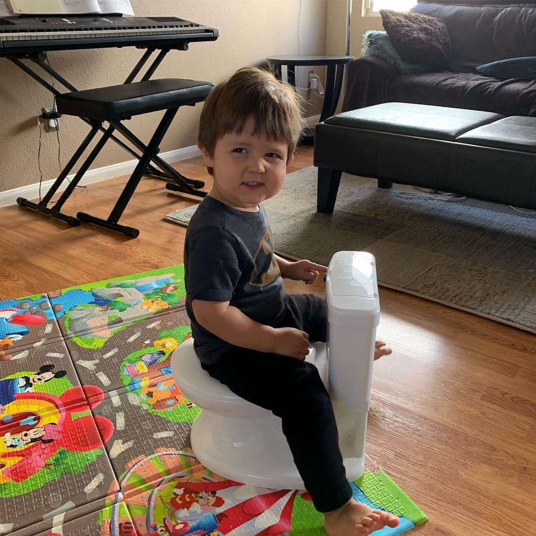 ターニャ・テイトさんのインスタグラム写真 - (ターニャ・テイトInstagram)「Ozzie has his very own toilet. He started showing signs that he knows his nappy is full. He pulls at it and think he is starting to say poop ☺️ Does anyone have any potty training hints? There is storage space, built in wipe compartment had pot that is easy to clean. The flush makes a noise too. Ozzie kept looking for the water flushing into the bowl 😆💧 #mysizepotty from @summerinfant 🧒🏻🚽💩 — — #ozzie #oswald #18monthsold #firsttoilet #potty #pottytraining #pottytrainingboys」6月5日 9時32分 - tanyatate