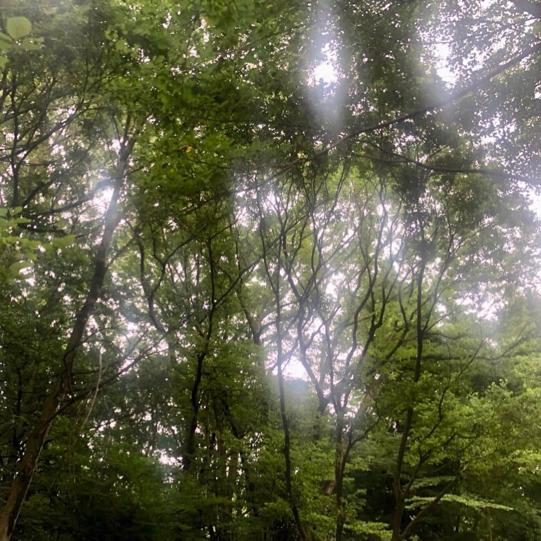 市川海老蔵 （11代目）さんのインスタグラム写真 - (市川海老蔵 （11代目）Instagram)「* おはようございます。 今日は新緑の香りが 凄くいいです。 ぼちぼち梅雨かな。  #市川海老蔵 #海老蔵 #成田屋 #歌舞伎  #ABKAI #ABMORI #ebizoichikawa #ebizo #kabuki #thunderparty  #classic」6月5日 9時28分 - ebizoichikawa.ebizoichikawa