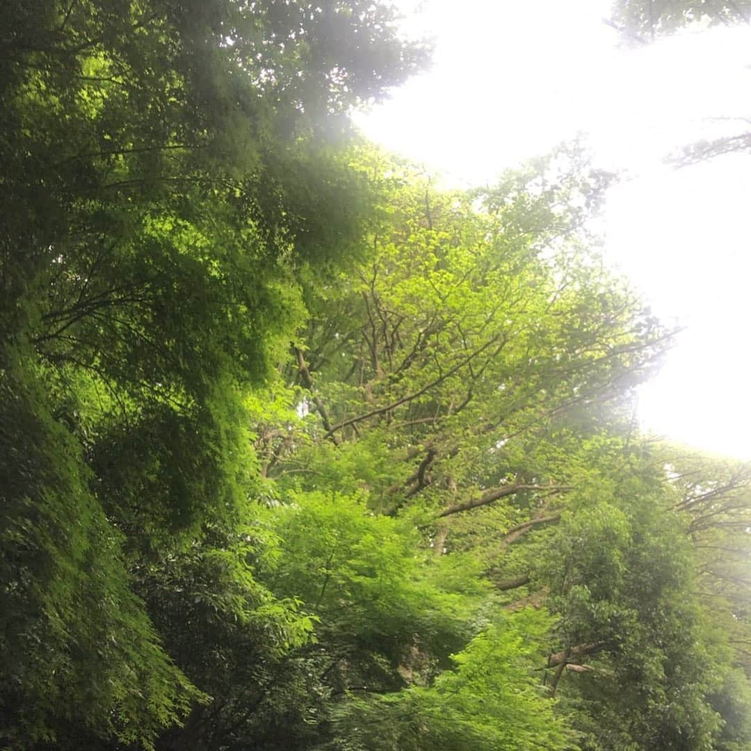 市川海老蔵 （11代目）さんのインスタグラム写真 - (市川海老蔵 （11代目）Instagram)「* おはようございます。 今日は新緑の香りが 凄くいいです。 ぼちぼち梅雨かな。  #市川海老蔵 #海老蔵 #成田屋 #歌舞伎  #ABKAI #ABMORI #ebizoichikawa #ebizo #kabuki #thunderparty  #classic」6月5日 9時28分 - ebizoichikawa.ebizoichikawa