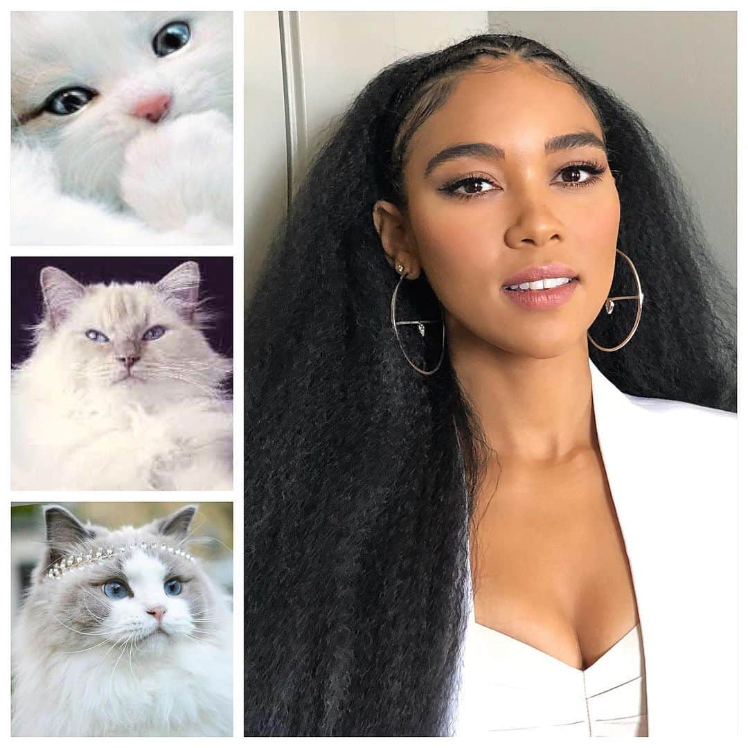 JO BAKERさんのインスタグラム写真 - (JO BAKERInstagram)「A L E X A N D R A • S H I P P 🇺🇸 Fluffy white kitties in tiaras.... mood and vibe for today’s press day with #alexandrashipp @xmenmovies  Mood of spoilt and well groomed fancy cats .... hair @larryjarahsims  Makeup by me #jobakermakeupartist 💋 #fluffykitten #kittens #spolitcat #spoilt #sassy #catsofinstagram」6月5日 9時52分 - missjobaker