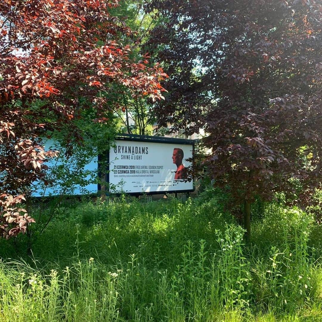 ブライアン・アダムスさんのインスタグラム写真 - (ブライアン・アダムスInstagram)「Concert poster in the bushes for Gdańsk and Wroclaw #bryanadamsshinealight」6月5日 10時24分 - bryanadams