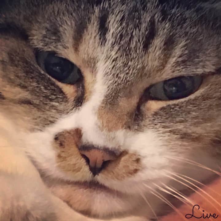 イマイアキノブのインスタグラム