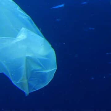 ニールズヤード レメディーズさんのインスタグラム写真 - (ニールズヤード レメディーズInstagram)「みなさんがきっと耳にしているプラスチックごみ問題ですが、実はこんなにも美しい海すら汚してしまっているのです。 . 【NO!プラスチック キャンペーン】 ―海を守るために、私たちができること― . . . #plasticfree #savetheocean #リサイクル #エコ #環境問題 #環境保護 #プラスチックフリー #自然を大切に #マイクロプラスチック #リサイクルガラス #プラスチックゴミ #プラスチックスマート #プラスチック汚染 #マイクロプラスチック問題 #ニールズヤードレメディーズ #nealsyard #nealsyardremedies #アロマ #アロマのある暮らし #香りのある暮らし #オーガニック #オーガニックコスメ #オーガニックライフ #ナチュラルライフ #ホリスティックケア #ニールズヤードポリシー #nealsyardpolicy #世界環境デー」6月5日 20時02分 - nealsyard_jp