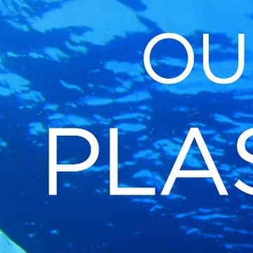 ニールズヤード レメディーズさんのインスタグラム写真 - (ニールズヤード レメディーズInstagram)「プラスチックごみをこれ以上増やさないために、私たちにできることは？ . 【NO!プラスチック キャンペーン】 ―海を守るために、私たちができること― . . . #plasticfree #savetheocean #リサイクル #エコ #環境問題 #環境保護 #プラスチックフリー #自然を大切に #マイクロプラスチック #リサイクルガラス #プラスチックゴミ #プラスチックスマート #プラスチック汚染 #マイクロプラスチック問題 #ニールズヤードレメディーズ #nealsyard #nealsyardremedies #アロマ #アロマのある暮らし #香りのある暮らし #オーガニック #オーガニックコスメ #オーガニックライフ #ナチュラルライフ #ホリスティックケア #ニールズヤードポリシー #nealsyardpolicy #世界環境デー」6月5日 20時04分 - nealsyard_jp