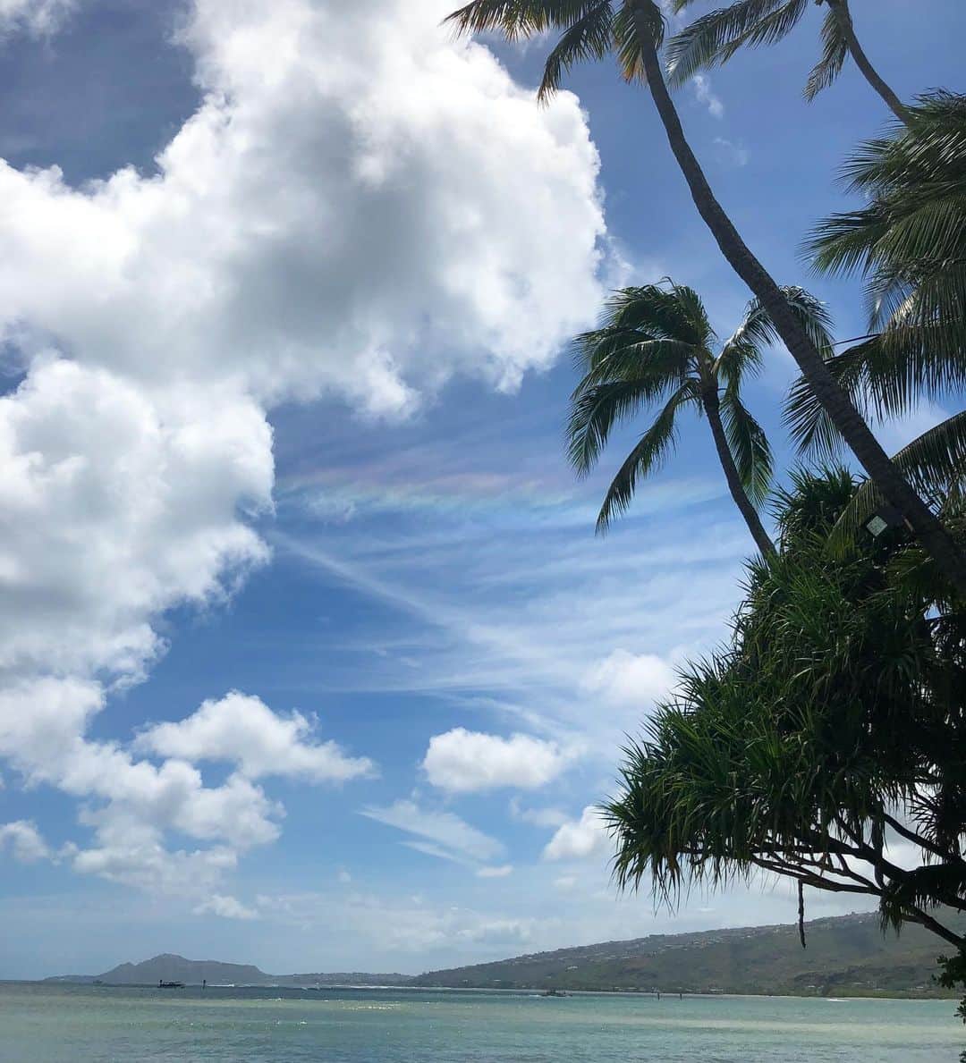 新原愛加のインスタグラム：「🌴🌈」