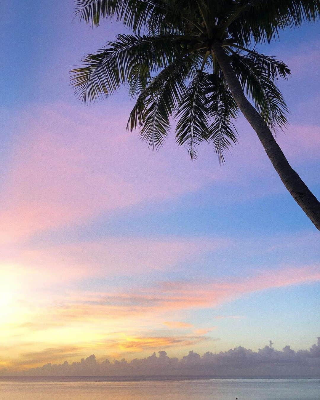 山中美智子さんのインスタグラム写真 - (山中美智子Instagram)「今日のSunset は 本当に美しかったぁ🌴  この後もっとすごいことになりました🧡  ストーリーみてみてね🥥  毎分違う 色になるmagic hour 💛🧡💜❤️ お空のショーみたい🍬」6月5日 20時46分 - alexiastam1988