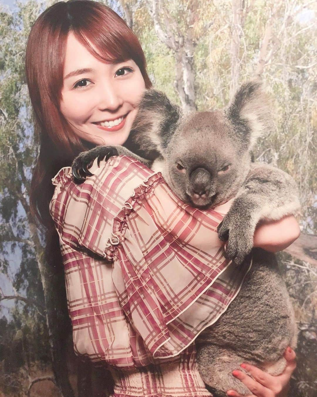 長久梨那さんのインスタグラム写真 - (長久梨那Instagram)「． 念願のコアラ抱っこ🐨💓 きゅいーん❤️ きゃわわー❤️ #コアラ #抱っこ #目付き悪い #多分怒ってる #オーストラリア #ケアンズ #キュランダ #コアラガーデン #コアラチェキ2000円 #旅行 #旅女子 #海外旅行 #フォローミー #japan #girl #trip #travel #australia #cairns #kuranda #koala #koalagardens #pic #photo #photography #instagood #instadaily #today #followme #🐨」6月5日 20時51分 - rinanagahisa