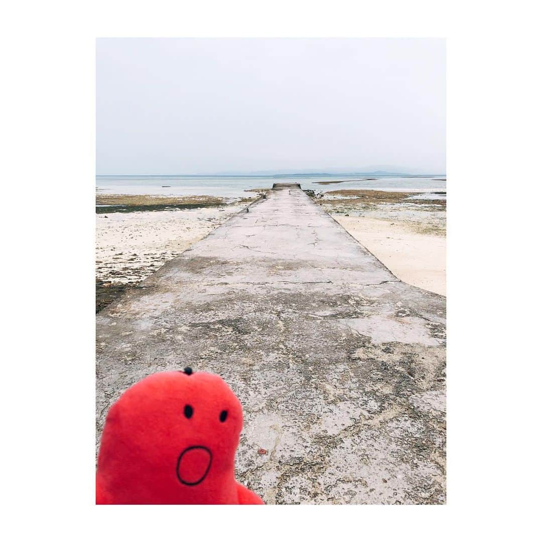 tokuさんのインスタグラム写真 - (tokuInstagram)「ちょっとだけ早い夏でした。#kmsm #macproar」6月5日 21時02分 - toku_grnd