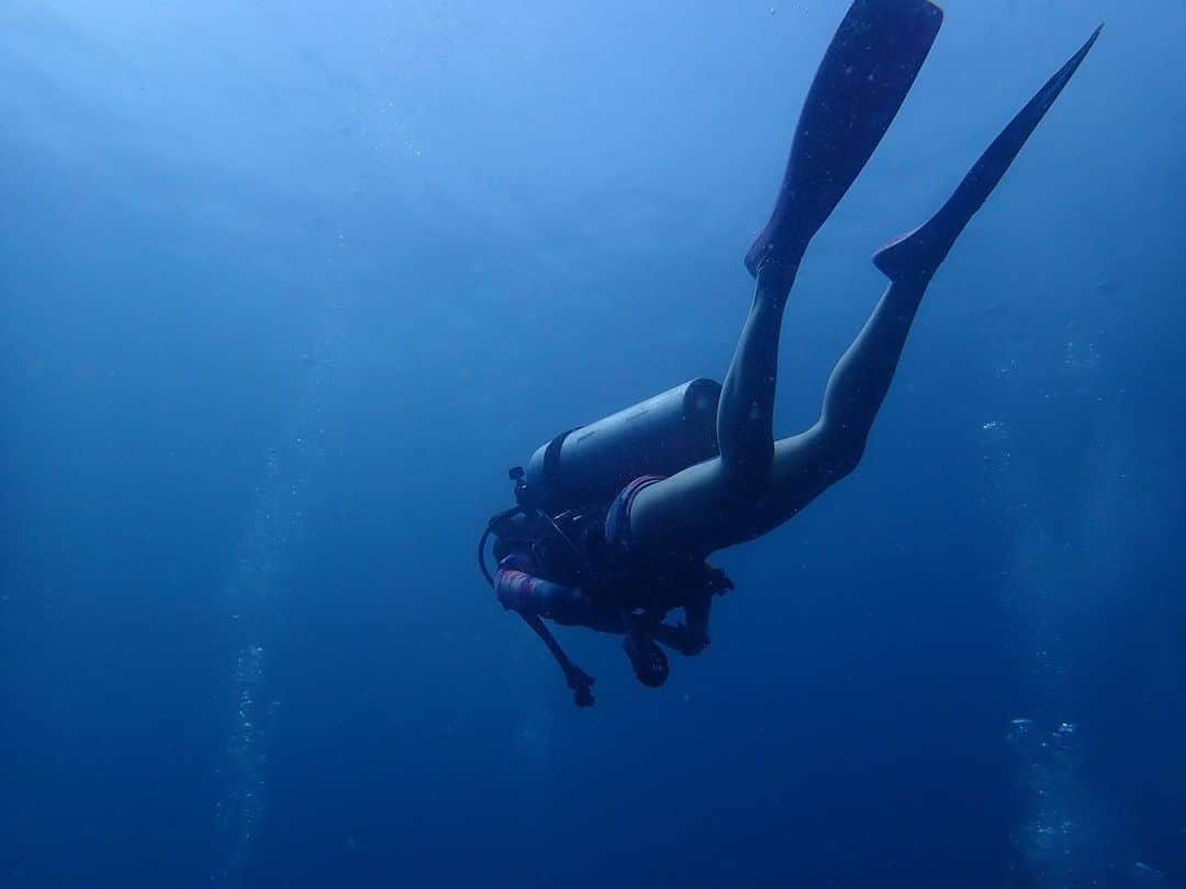 石田ニコルさんのインスタグラム写真 - (石田ニコルInstagram)「🌊🐟🐟 #dive#diver#blue#earth」6月5日 21時03分 - nicole_ishida