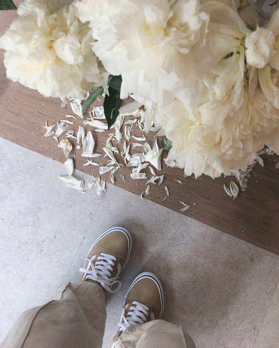 篠原真衣のグルメインスタ