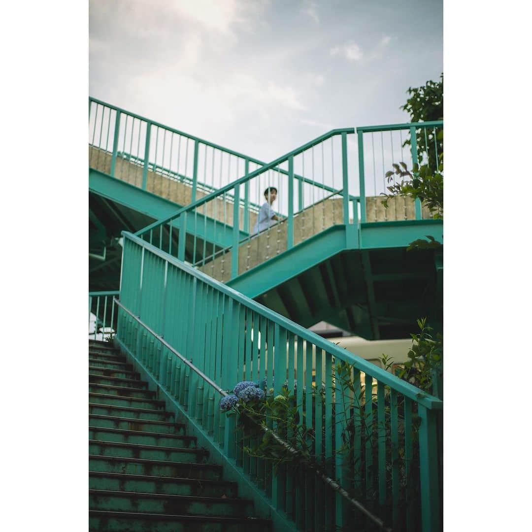 永池南津子さんのインスタグラム写真 - (永池南津子Instagram)「雨の匂いを纏いながら。歩く。 #でも傘は持たない #レインコート買おうかな #散歩 #紫陽花 #辛抱強い愛情 #hydrangea #ajisai #photography #portrait #永池南津子」6月5日 14時19分 - natsuko_nagaike