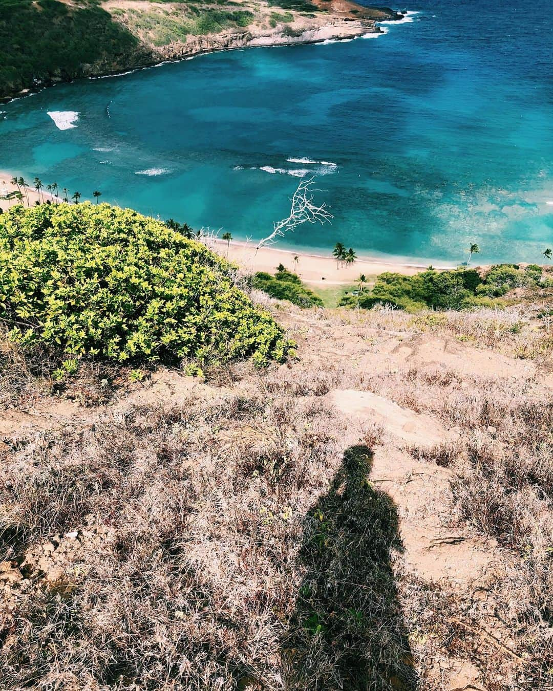 エビアン・クーさんのインスタグラム写真 - (エビアン・クーInstagram)「First thing to do....when I’m back. 1. Get my time straight (super jet lagged) 2. Sunbathing sesh☀️cause I’m just so pale  3. Eat my açaí bowl  今日もいい日ですな。実家に帰って来るとに心も癒されるし、ハッピーになる。ハイキングも行って自然に囲まれて幸せ✨暑い時のアサイボーは美味しい。はい、シンプルライフが好きです。 #やっぱ田舎がすき  #今日のハイキングは #ハナウマベイブリッジ #心が癒される #ぼぐわーつかふぇ美味しい #水着はイーラのだよ #ilaswim」6月5日 14時23分 - avian_official