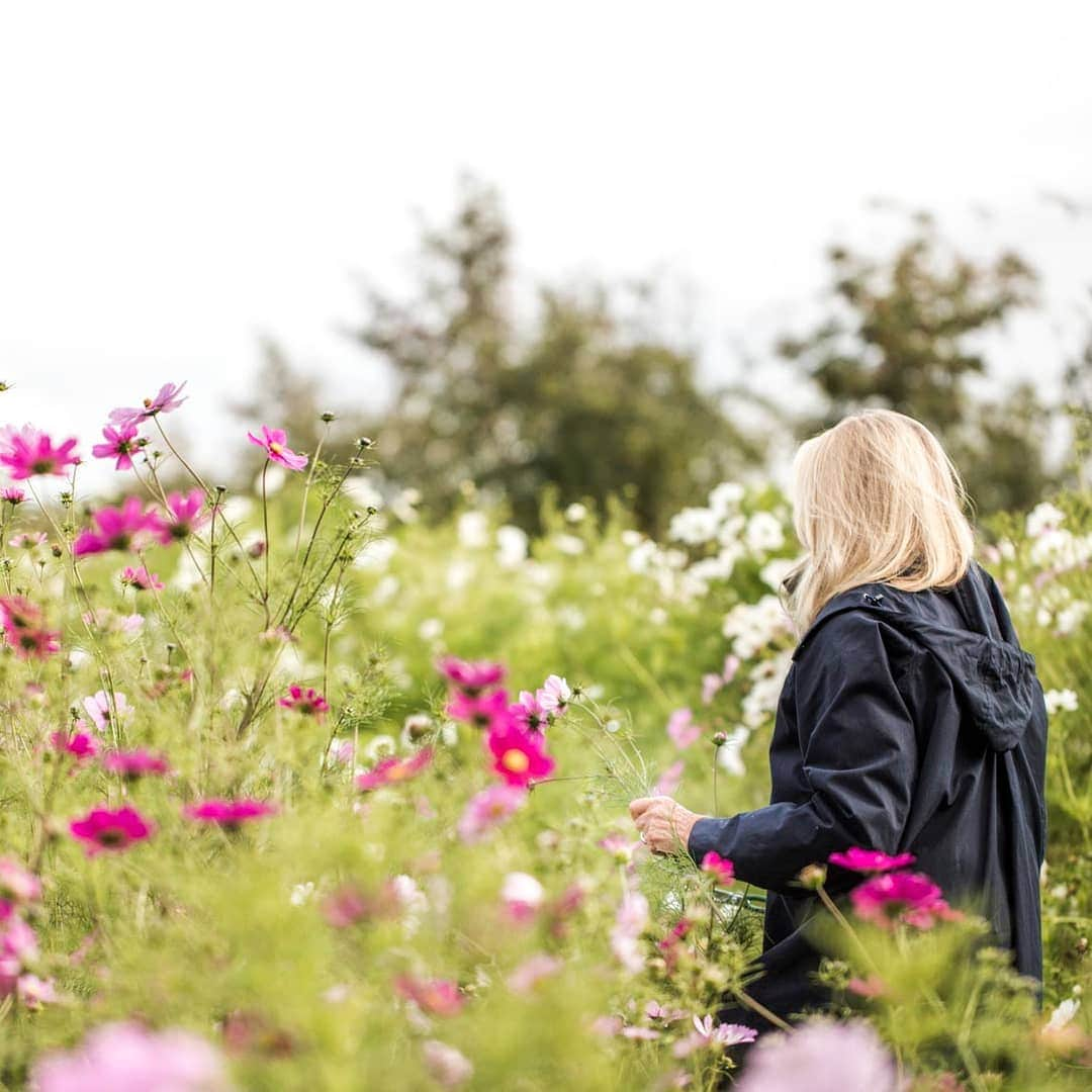 バンフォードさんのインスタグラム写真 - (バンフォードInstagram)「Today is World Environment Day, where we unite with human beings from all around the globe, encouraging us all to take the necessary steps to protect our natural environment. At Bamford, we care for our Earth by championing sustainable processes and materials, promoting cleaner air and preserving our planet for future generations 🌍 @unenvironment #beatairpollution #environment #worldenvironmentday」6月5日 14時50分 - bamford