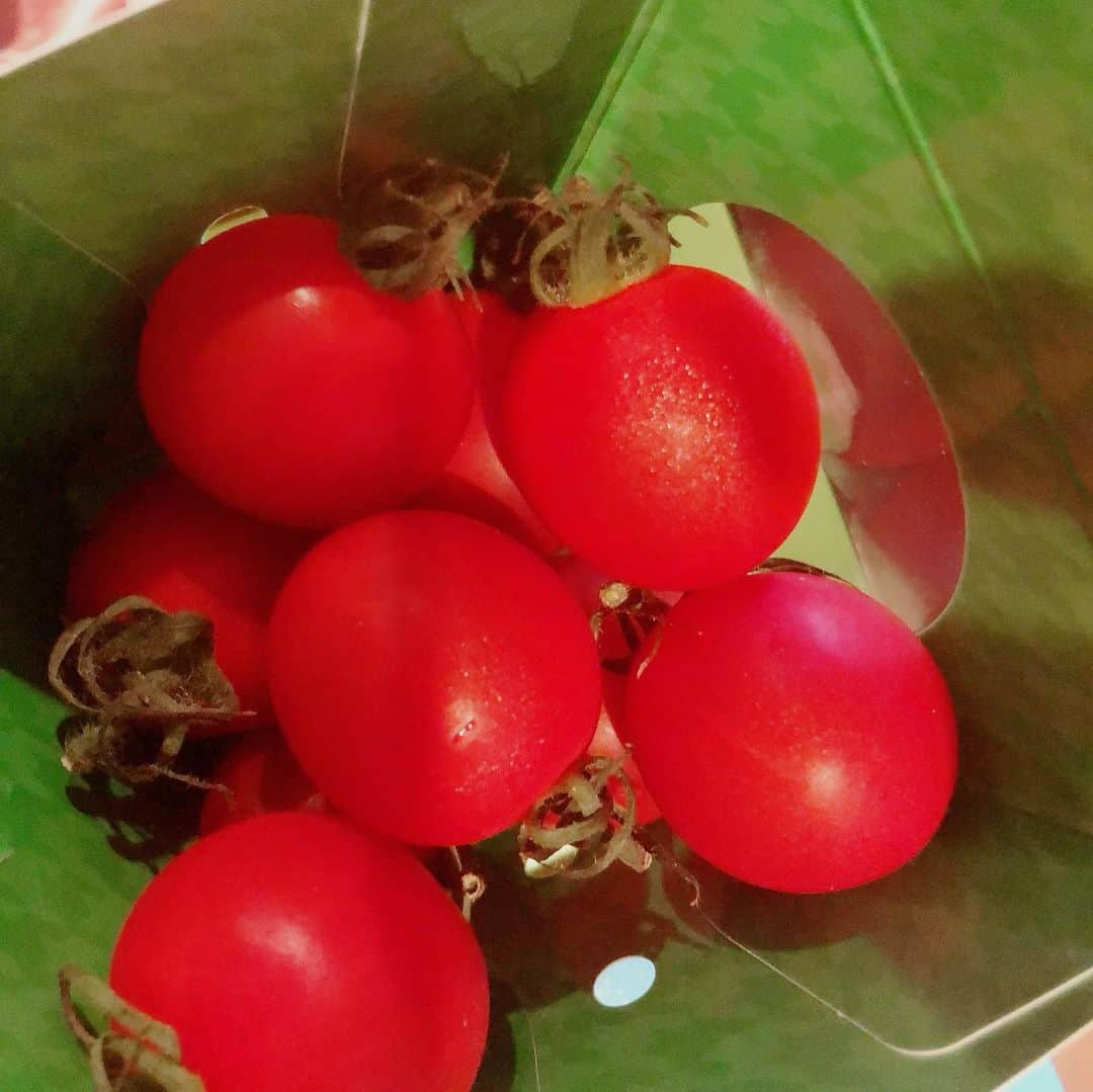 国生さゆりさんのインスタグラム写真 - (国生さゆりInstagram)「新鮮トマト🍅頂きました🍅甘酸っぱさが、噛むと口の中で弾ける🍅美味しい🍅#新鮮野菜 #トマト #国生さゆり」6月5日 14時59分 - sayurikokusho