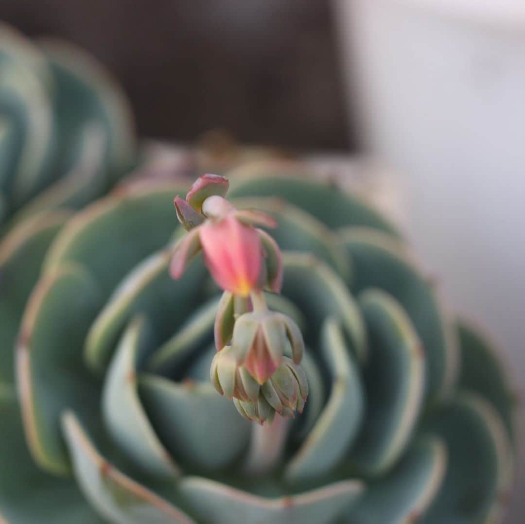 魔女菅原のグルメインスタ