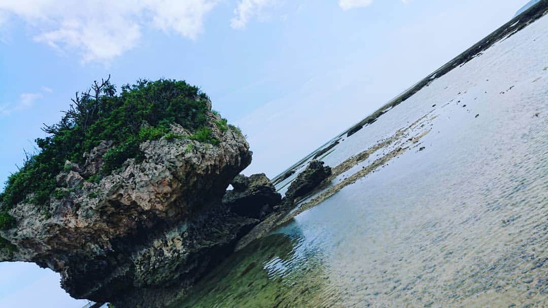 末野卓磨さんのインスタグラム写真 - (末野卓磨Instagram)「③の写真に蟹がいます。 俺は肉眼で見て、石が動いた！(; ﾟ ﾛﾟ)って驚きましたww」6月5日 15時55分 - takuma_sueno