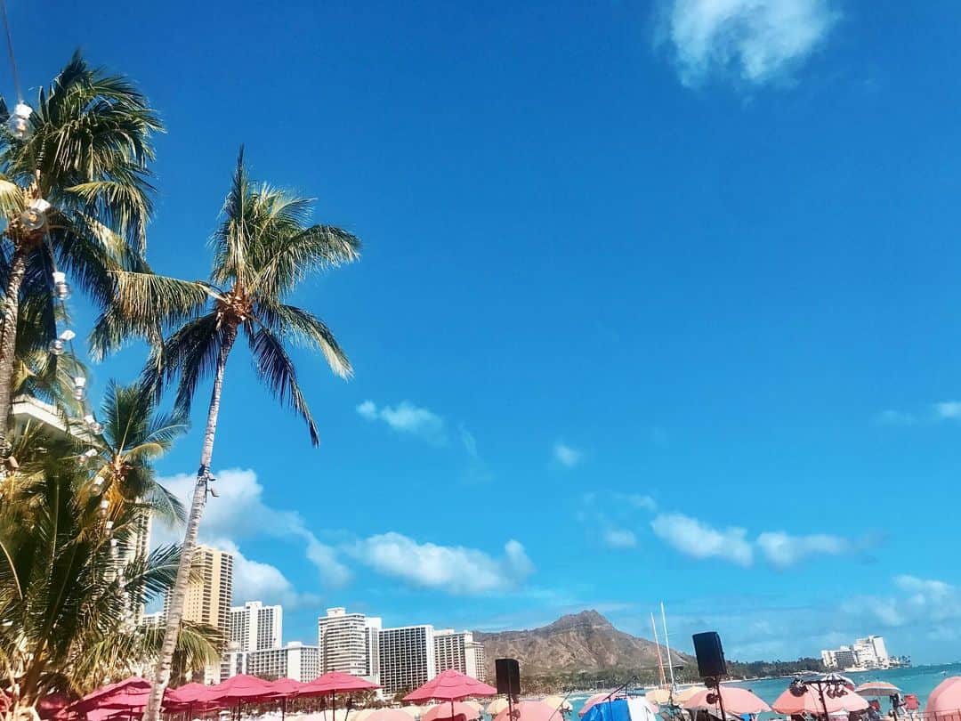 宮崎沙矢加さんのインスタグラム写真 - (宮崎沙矢加Instagram)「Breezy and barefoot at the Pink palace💗⛱💗⛱💗⛱ . . . #hawaii #hi #oahu #waikiki #beach #pic #picoftheday #palmtrees #pinklover #island」6月5日 16時18分 - sarah___audrey