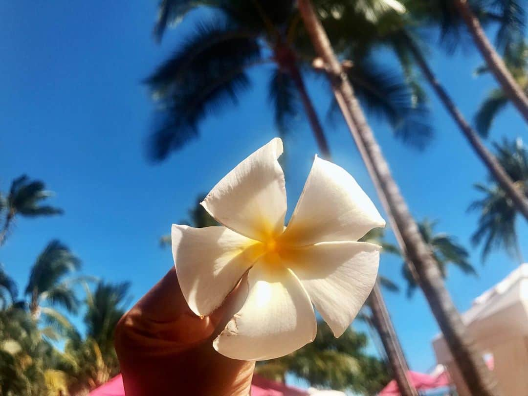 宮崎沙矢加さんのインスタグラム写真 - (宮崎沙矢加Instagram)「Breezy and barefoot at the Pink palace💗⛱💗⛱💗⛱ . . . #hawaii #hi #oahu #waikiki #beach #pic #picoftheday #palmtrees #pinklover #island」6月5日 16時18分 - sarah___audrey