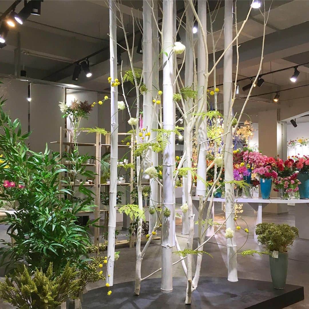 横浜ディスプレイミュージアムさんのインスタグラム写真 - (横浜ディスプレイミュージアムInstagram)「横浜ディスプレイミュージアムです！ 本日は造花の自社工場をご紹介いたします♫  中国にある自社工場にはショールームが併設されています🌷 定番フラワーはもちろんのこと、次シーズンへ向けての新商品も数多く展示しています。 また、海外からも多くのバイヤーの方が視察に訪れるので、このような竹や和花を使った日本らしいディスプレイも提案していますよ🌟  #横浜ディスプレイミュージアム #株式会社ポピー #横浜 #ディスプレイ#アーティフィシャルフラワー #フラワーアレンジメント #フラワーデザイン #和花 #竹  #artificalflowers #flowerarrangement #japanculture #japaneseflowers #bamboo」6月5日 16時40分 - yokohamadisplaymuseum