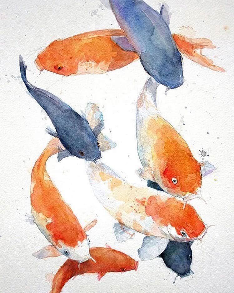 のインスタグラム：「Free as a fish #inspiration」