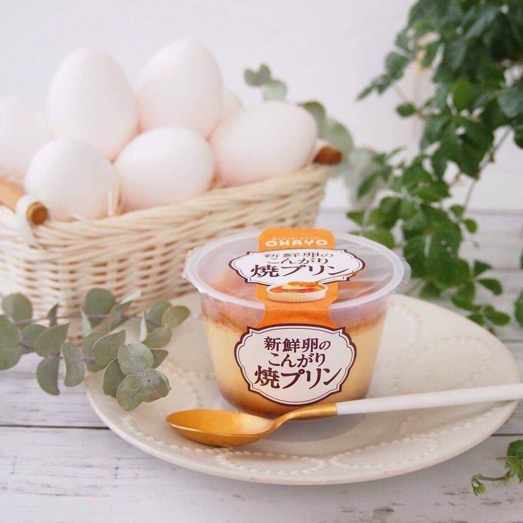 オハヨー乳業 公式アカウントさんのインスタグラム写真 - (オハヨー乳業 公式アカウントInstagram)「・ 商品名：新鮮卵のこんがり焼プリン﻿ エネルギー：187 kcal﻿ ﻿ こんがりとした焼き目が香ばしい#新鮮卵のこんがり焼プリン🍮﻿ ﻿ 卵をたっぷりと贅沢に使用したプリンは卵のコクを感じるやさしい甘さ…💗﻿ プリンの底にはほろ苦いカラメルソースがたっぷり。﻿ プリンとカラメルソースは相性抜群で最後まで美味しくお召し上がりいただけます。﻿ ﻿ ちょこっと小腹が空いたなという時にもぴったりの満足感です💖﻿ ﻿ #OHAYO #オハヨー乳業 #オハヨー ﻿ #プリン #オハヨープリン﻿ ___﻿ #カスタードプリン #焼プリン  #今日のおやつ #今日のプリン  #スイーツ #デザート﻿ #おやつ #今日のスイーツ  #今日のデザート﻿ #スイーツ好き	 #デザート好き #プリン好き ﻿ #コンビニスイーツ #ティータイム  #パケ買い #おうちカフェ #うちカフェ #おやつの時間﻿ #甘党 #甘党女子 #スイーツ女子﻿ #おやつタイプ #おうち時間	 #リラックスタイム」6月5日 17時01分 - ohayo_milk