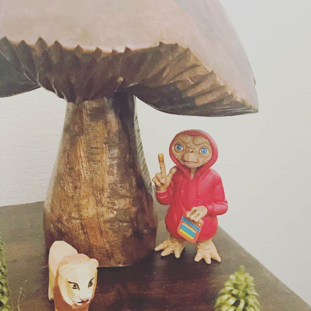 緒月遠麻さんのインスタグラム写真 - (緒月遠麻Instagram)「☺︎ コツコツと 集めてる #ニキティキ なかなか 集ってきたね☺︎🌳✨ 木のぬくもりってやつ。  キノコの木陰には ET。 なんかよーわからんけどベスポジ。笑  ETは ニキティキじゃなく ガチャガチャです。」6月5日 17時25分 - toma_ozuki