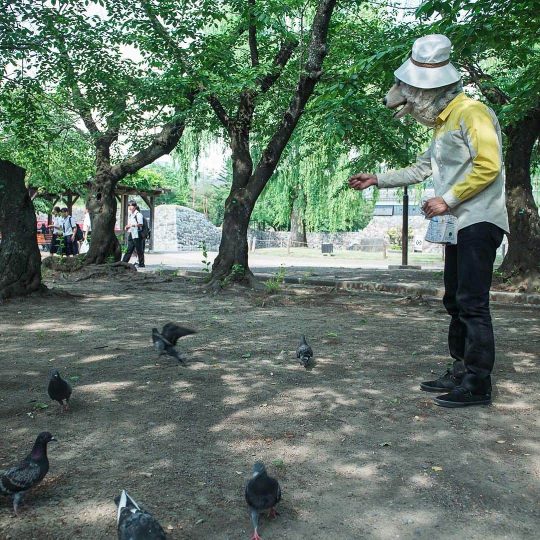 Man With A Missionさんのインスタグラム写真 - (Man With A MissionInstagram)「Professional Dove Feeder  プロ鳩餌師  #manwithamission #matsumotocastle  #ンナモンネェ」6月5日 17時25分 - mwamofficial