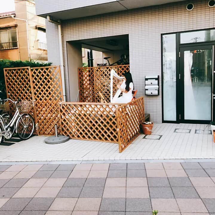 柳下毅一郎のインスタグラム：「山谷の路上でハープを奏でる乙女」