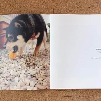 Photobackさんのインスタグラム写真 - (PhotobackInstagram)「本日ご紹介するのは、 anzu_tetsu(@anzu_tetsu)さまの作品です🐕✨ . 『愛犬が我が家にやってきて、 一年がたった記念につくりました🌈』 . 大切なわんちゃんの写真をまとめた一冊です❣️ . 犬種はおそらく柴犬でしょうか？👀 黒毛のわんちゃんもとってもキュートですね☺️ 元気な姿がたくさんのフォトブックで、 こちらも幸せな気持ちになります🙌 . いろいろな表情を楽しめる、 ペットのフォトブックは お部屋のインテリアにもぴったりです🥰 . anzu_tetsu(@anzu_tetsu)さま、 今回は素敵な作品をありがとうございました🍀 . #photoback #フォトバック #フォトアルバム #フォトブック  #photoback作品紹介2019 #photoback春の思い出2019 #photoback新アプリリリース #思い出 #写真 #photo #愛犬 #ペット #柴犬 #dog #黒柴 #シバイヌ」6月5日 17時45分 - photoback.jp