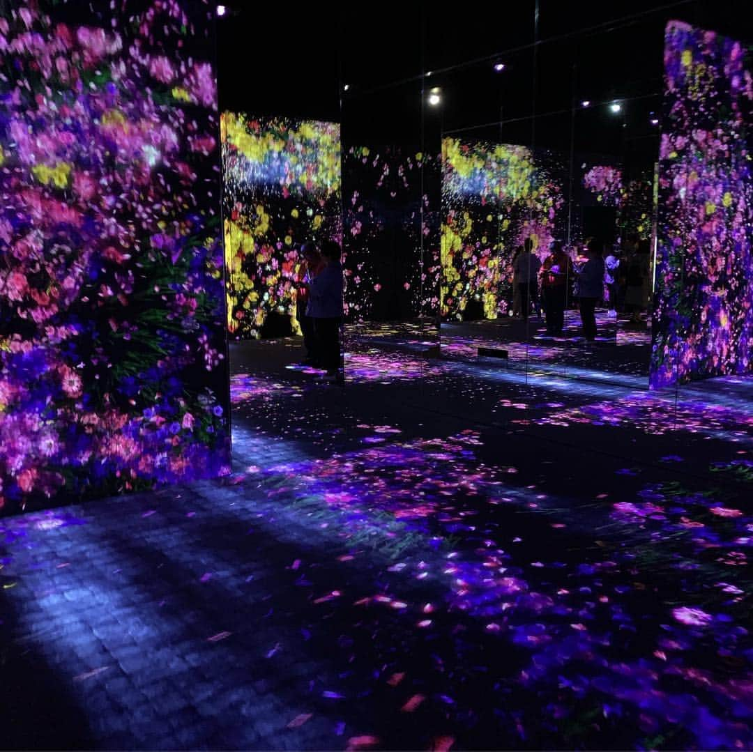 金子翔太のインスタグラム：「#チームラボ #お台場 #teamlab  #teamlabborderless #photooftheday  #photography #photo」