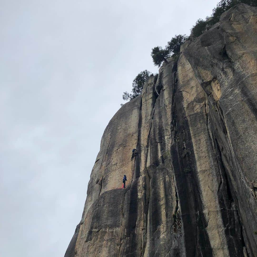 安間佐千さんのインスタグラム写真 - (安間佐千Instagram)「I have been trad climbing for 2 month and it is full of new adventure, experience and intense moment! Here is my 5days of Mizugaki camp post!  瑞牆山合宿中では末端壁を中心に様々なシングルピッチのルートを登りました。印象的な成果をまとめてみます。 〜末端壁〜 春うらら2p目 OS ペガサス 1p+2p OS フリーダム 2try トワイライト 2try 〜屏風岩〜 霧の中で OS 長いコーナー Flash 〜クラック地獄エリア〜 カヌー OS ・ “春うらら”2p目や”霧の中で”のオンサイトは非常に嬉しく、ここ最近のトラッドの成長を感じるクライミングでした。  実は合宿中最も印象的だったのは、ペガサス5.10dのオンサイトです。50メートル、様々なサイズのクラックが延々と続くこのルートですが、持っていったカムが少な過ぎたのです。終始ランナウトし続けて、心身共に疲れ果ててたどり着いた最後のワイド。ここでは、つばを飲み込み覚悟を決める瞬間がありました。そして極め付けは、スリングも無い状態で着いた最上部に、大木はあるものの終了点が無いのです！ 下で見ていてくれたガメラさんにサポート頂き、自らのロープで自己確保し、セカンドビレーをすることが出来ました。  合宿最終日。天気もくずれ、皆下山し始めた頃。その日のパートナーであった由香里さんが、若干の心残りな僕を見抜き、「フリーダムやらないの？」と声をかけてくれました。何か嬉しくなって、急いでルートの前まで上がりました。約2ヶ月前に1度トライしたこのルート、岩はしっとり、最後の気が抜けないスラブはびっしょりである。しかし、合宿最後のクライミングを思い切り楽しむつもりでトライしました。下部は一か八かの判断が決まり通過。クラックパートは問題なし。最後のスラブはもう本当にびっしょりだったけど、なぜか逆に登りたい気持ちが湧き出てきました。何度も声が出て、そして完登してしまった！いやぁ、信じられなかったし、嬉しかった〜。 トラッドの世界。堪能しています！  Photo by @maechan82kgclimber and @mic_ued  @adidasterrex  @fiveten_official  @petzl_official  #mizugaki  #mizugakicamp  #tradclimbing」6月5日 18時32分 - sachiamma