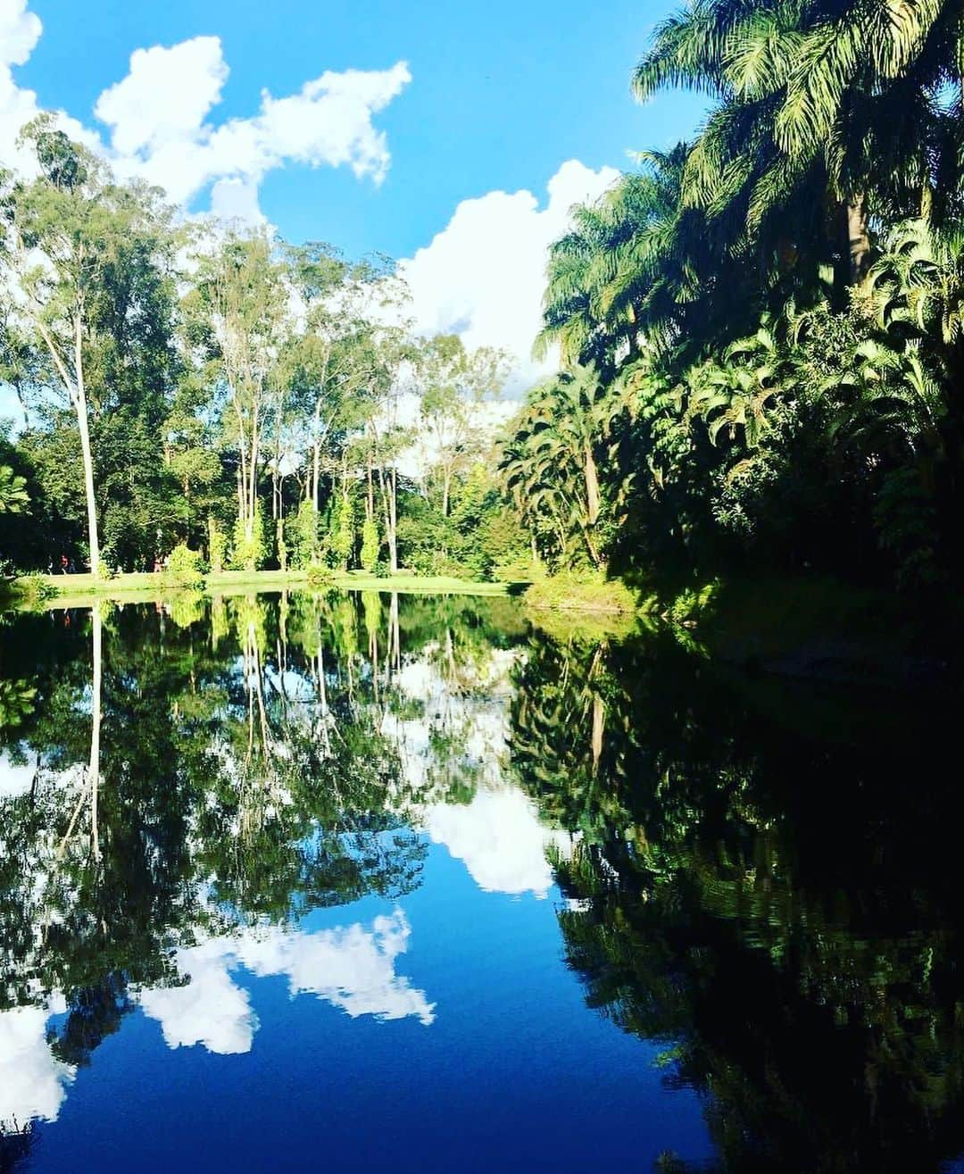 フィンクさんのインスタグラム写真 - (フィンクInstagram)「It’s World Environment Day and a few weeks ago I played in Brazil at the amazing @mecalovemeca festival - it was all part of my continuing involvement with the fantastic charity @bottletoppers - this time through its #Togetherband initiative with the UN... but before I played in the jungle I recorded the soundtrack for the film about the goal I am supporting - goal number 15 - Life On Land - which we played after my set at the Festival after a short intro from Cameron, the charities' founder... check it out - it makes you think... link in bio. #TOGETHERBAND #bottletop #globalgoals #shareyourgoal #unfoundation #ubs #wwf_uk」6月5日 18時38分 - finkmusic