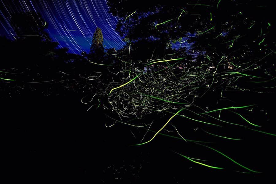 山人のグルメインスタ