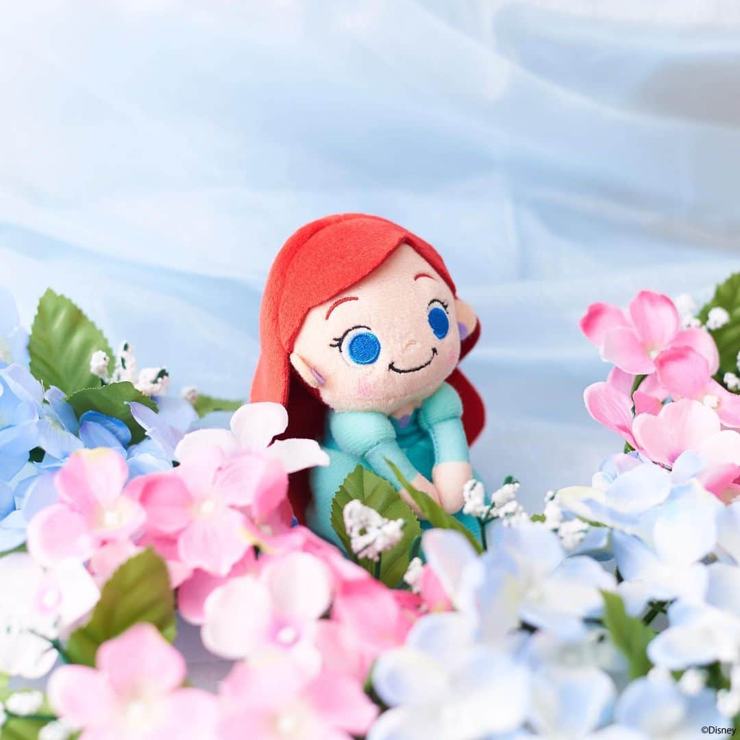 ちょっこりさん【公式】のインスタグラム：「#20190605 * 綺麗な紫陽花の時期。 少し足を止めて、撮影してみよう。 * #ちょっこりさん #ディズニー#ディズニーグッズ #ぬい撮り#ぬいぐるみ #chokkorisan#disney #takaratomyarts #ぬいぐるみと撮り隊 #disney写真部 #ディズニーグッズ #ちょっこりさん好きな人とつながりたい」