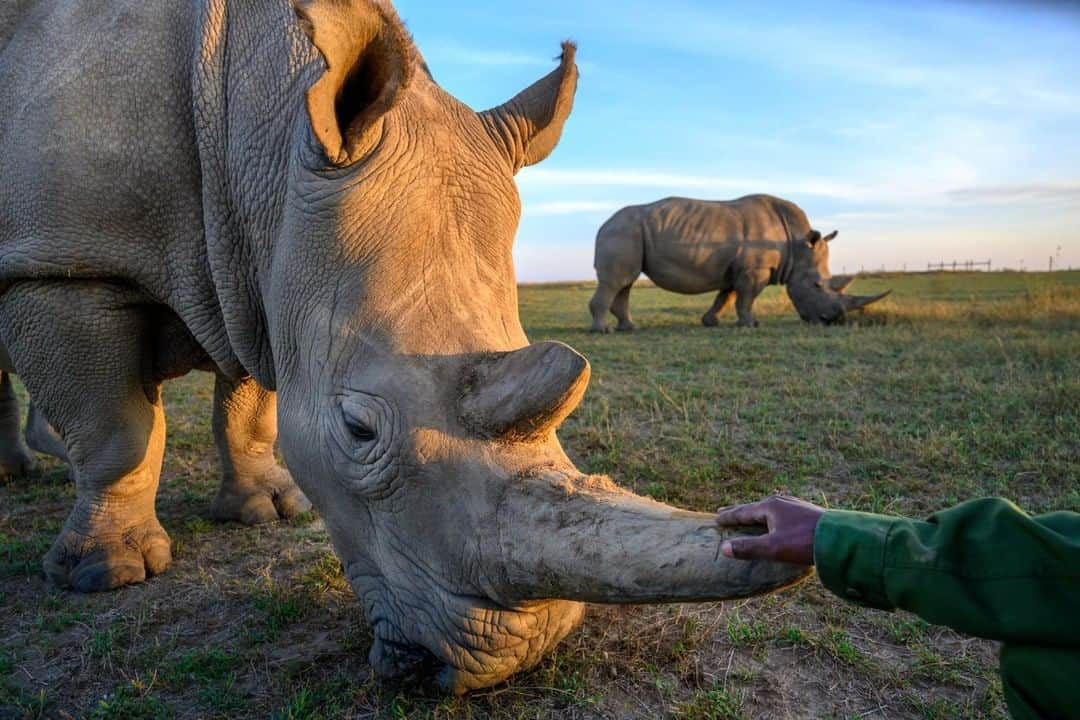 National Geographic Travelのインスタグラム