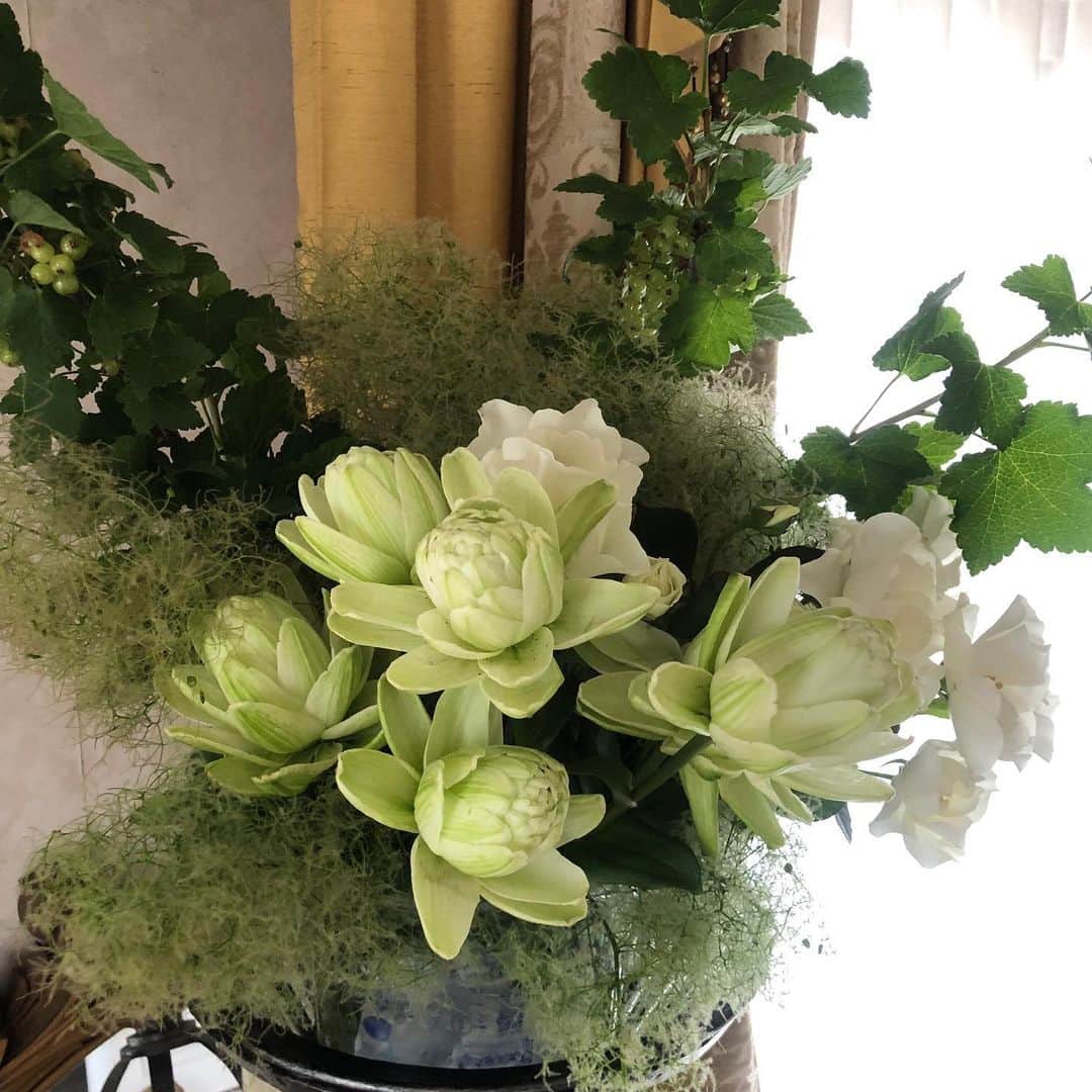 紫吹淳さんのインスタグラム写真 - (紫吹淳Instagram)「今週のお花です。 只今、お稽古真っ最中！！」6月5日 19時29分 - jun_shibuki_official