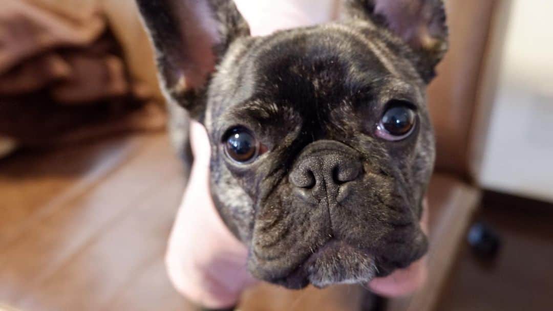 HeyCoffeeのグルメインスタ