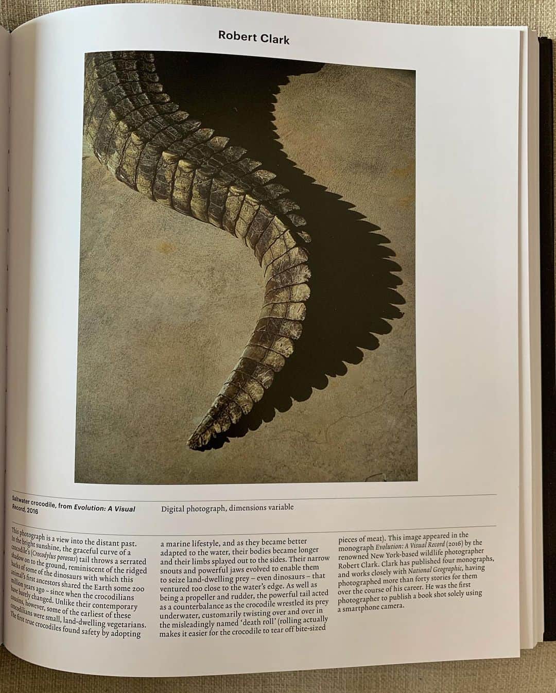 Robert Clarkさんのインスタグラム写真 - (Robert ClarkInstagram)「Always nice to see some of your work published in a beautiful and loving way. @phaidonsnaps makes amazing books, I was lucky enough to have them publish my book, #evolutionavisualrecord. So I was very happy to receive two different books produced by @phaidonsnaps. One on the animal kingdom and the other on plants. They are really perfect gifts. In the animal book I have a picture of the tail of a crocodile and the plants book a picture of Orchid Darwinious. It is a flower from #Madagascar. Upon seeing the flower #charlesdarwin theorized that the long throat on the flower meant that a dry flying moth existed with a long enough proboscis to pollinate the #Orchid. #Evolution #evolutionarybiology」6月6日 5時08分 - robertclarkphoto
