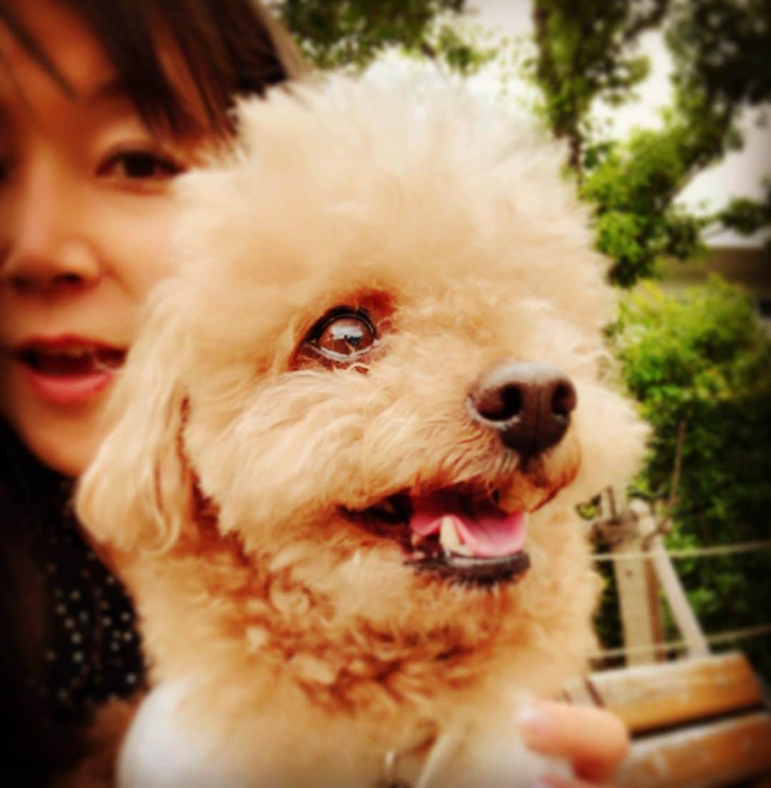 日々野真理さんのインスタグラム写真 - (日々野真理Instagram)「ココア〜💕」6月6日 5時27分 - marihibino1031