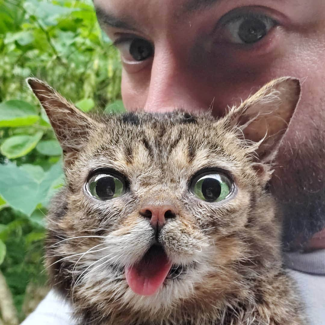 Lil BUBさんのインスタグラム写真 - (Lil BUBInstagram)「Gettin weird with BUB.」6月6日 6時06分 - iamlilbub