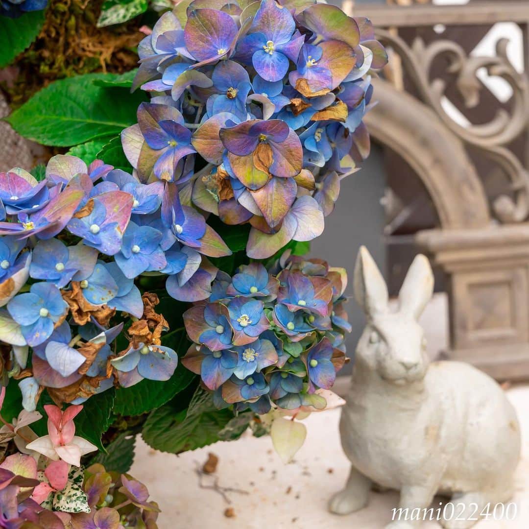 mani022400のグルメインスタ