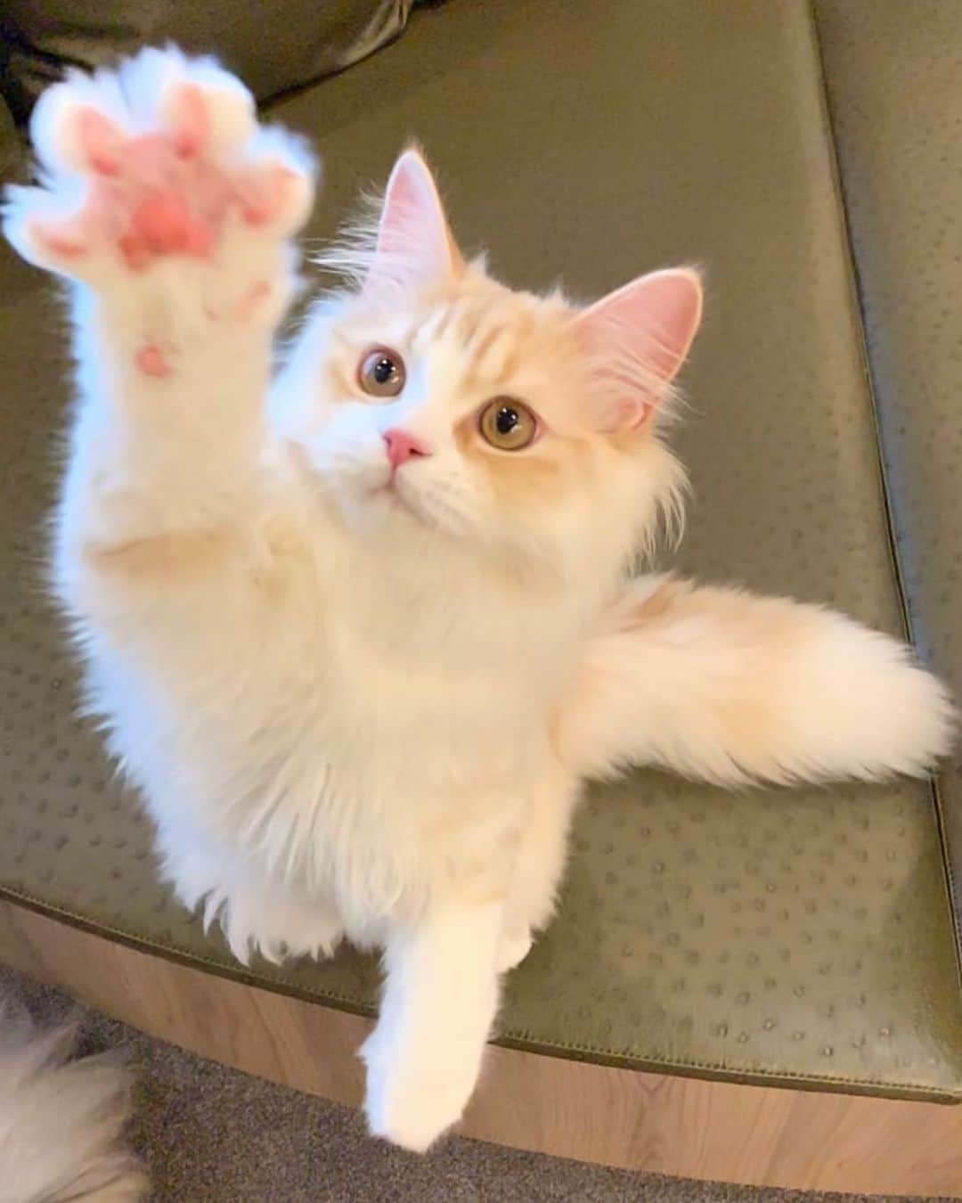 久冨慶子のグルメインスタ